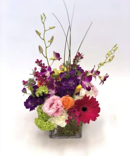 Bold, bright and beautiful, this modern cube arrangement is overflowing with orchids, hydrangea, roses, viburnum, lisianthus, Gerberas, stock and beautiful accent flowers hand selected by our talented designers. This arrangement is guaranteed to brighten up any room!