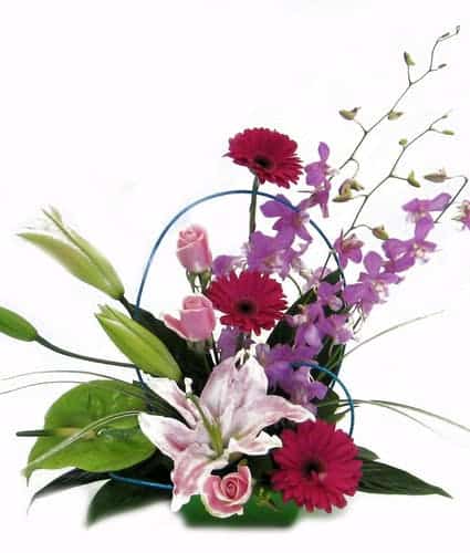 Bring a little pizazz to her day with this wild arrangement of lilies, gerbera daisies, orchids and roses. Container and style may vary.