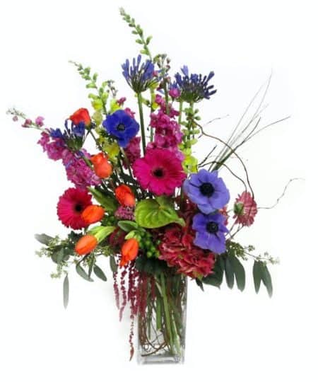 vibrant mix of flowers. Stunning roses, gerbera daisies, anemone, anthurium, tulips, hydrangea, snapdragons, and stock are all nestled together to form this beautiful masterpiece